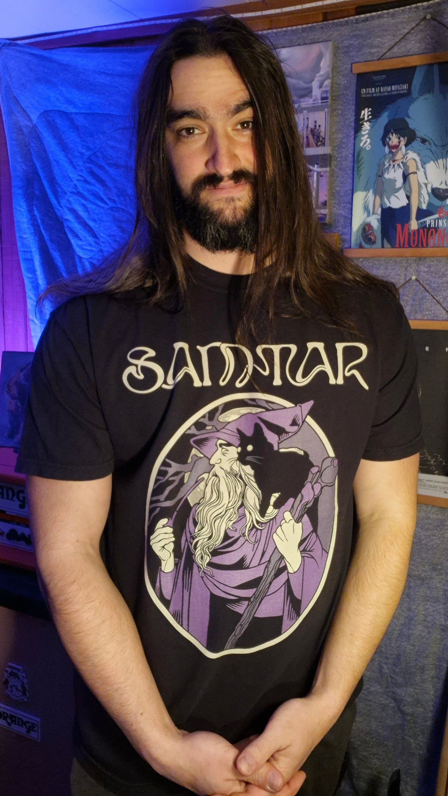 2. The Wizard And The Cat